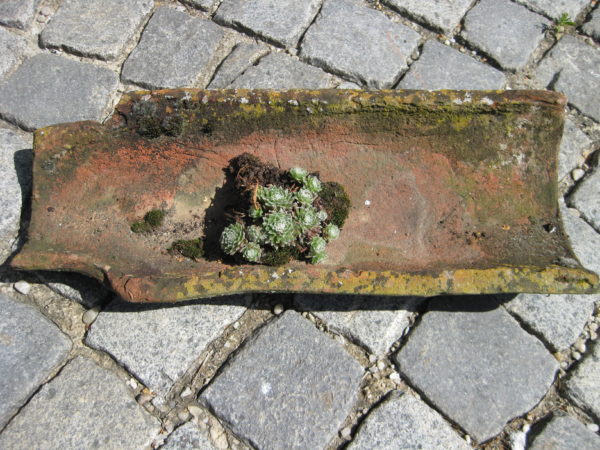 Dachziegel