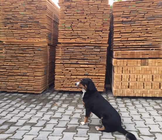 Zimmerei Brunnermeier Hofhund Zimmerei Brunnermeier Hofhund