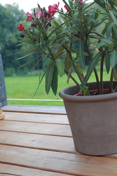Terrasse I